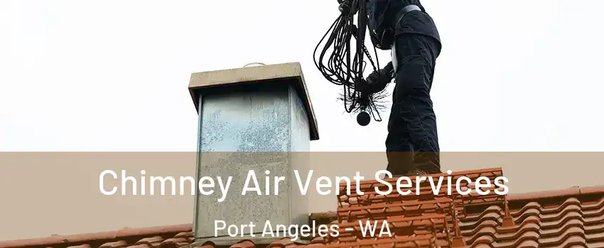  Chimney Air Vent Services Port Angeles - WA