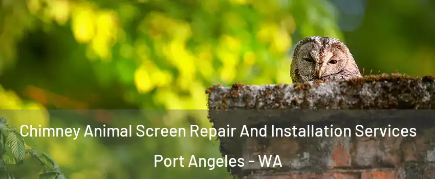  Chimney Animal Screen Repair And Installation Services Port Angeles - WA