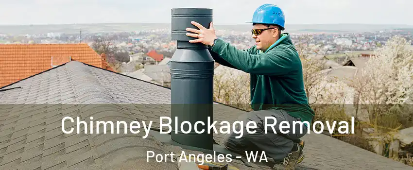  Chimney Blockage Removal Port Angeles - WA