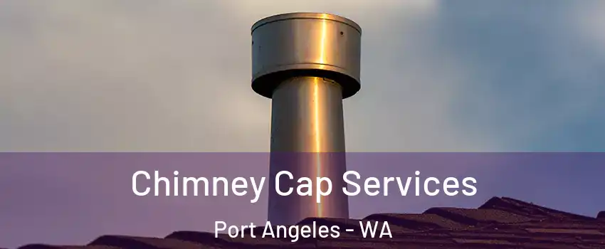  Chimney Cap Services Port Angeles - WA