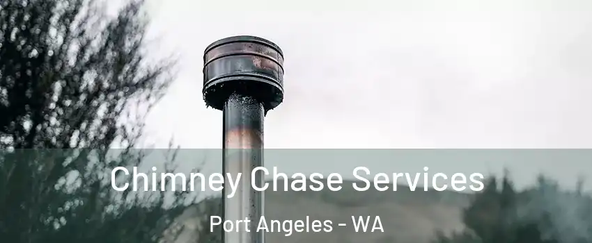  Chimney Chase Services Port Angeles - WA