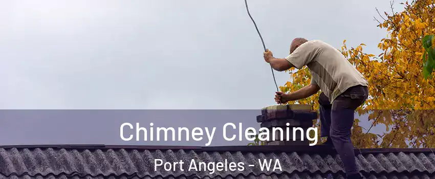  Chimney Cleaning Port Angeles - WA