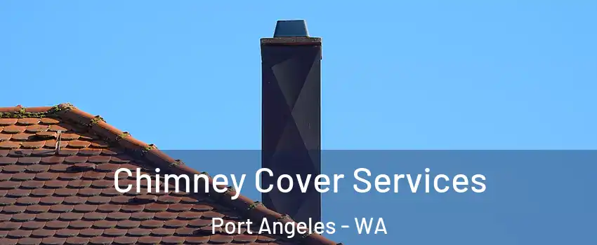  Chimney Cover Services Port Angeles - WA