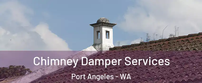  Chimney Damper Services Port Angeles - WA