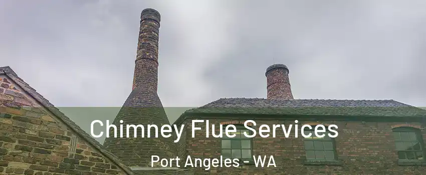  Chimney Flue Services Port Angeles - WA