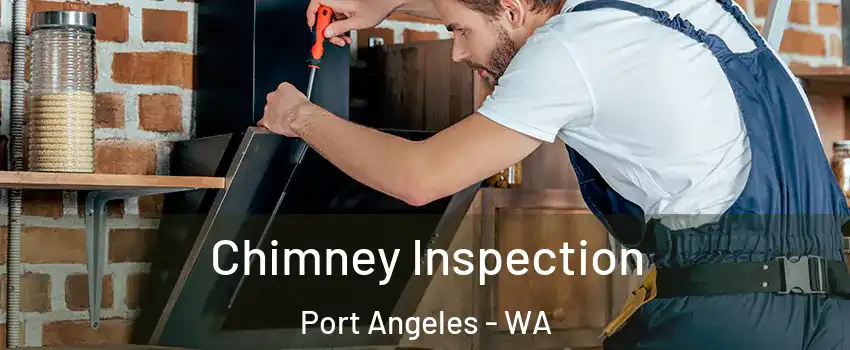  Chimney Inspection Port Angeles - WA
