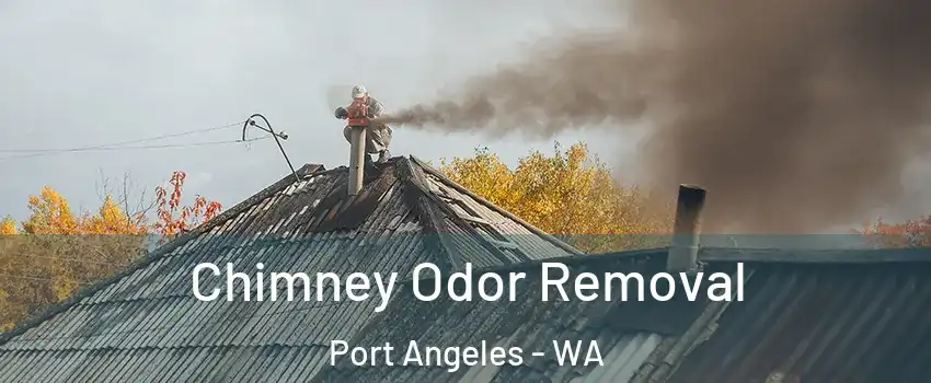  Chimney Odor Removal Port Angeles - WA