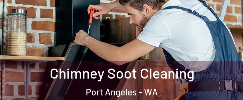  Chimney Soot Cleaning Port Angeles - WA