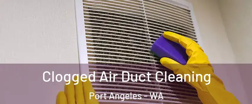  Clogged Air Duct Cleaning Port Angeles - WA