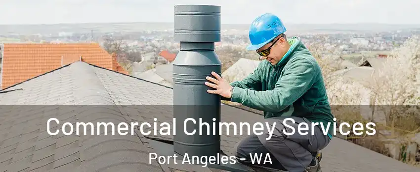  Commercial Chimney Services Port Angeles - WA