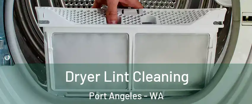  Dryer Lint Cleaning Port Angeles - WA