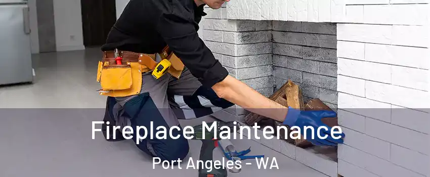  Fireplace Maintenance Port Angeles - WA