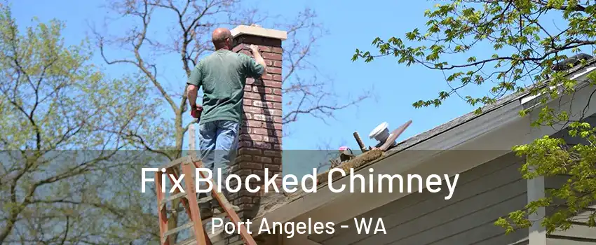  Fix Blocked Chimney Port Angeles - WA