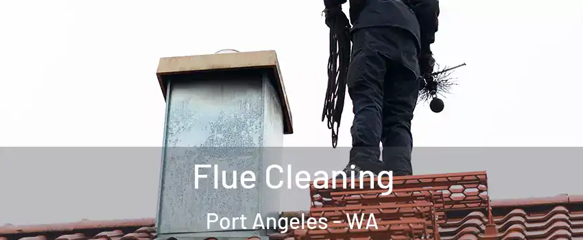  Flue Cleaning Port Angeles - WA