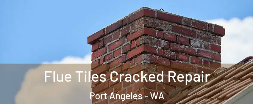  Flue Tiles Cracked Repair Port Angeles - WA
