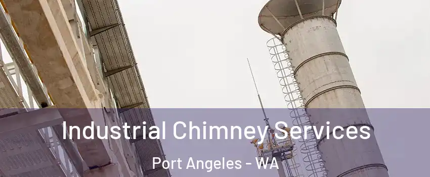 Industrial Chimney Services Port Angeles - WA