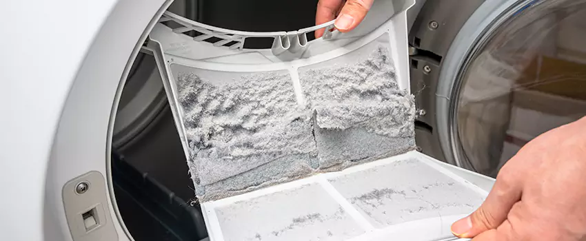Best Dryer Lint Removal Company in Port Angeles, Washington