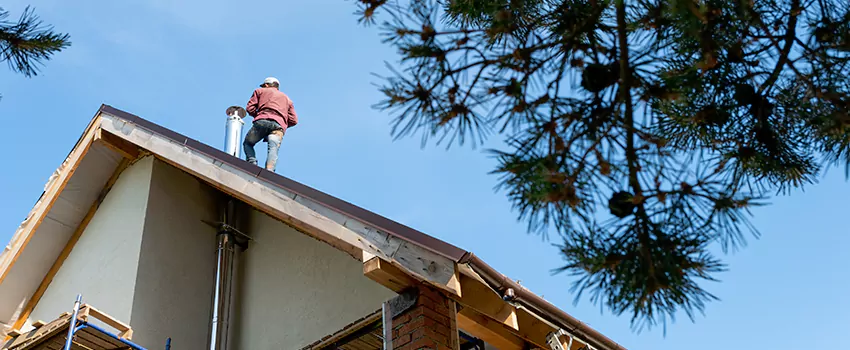 Birds Removal Contractors from Chimney in Port Angeles, WA