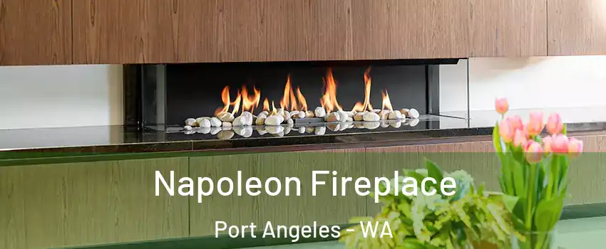  Napoleon Fireplace Port Angeles - WA