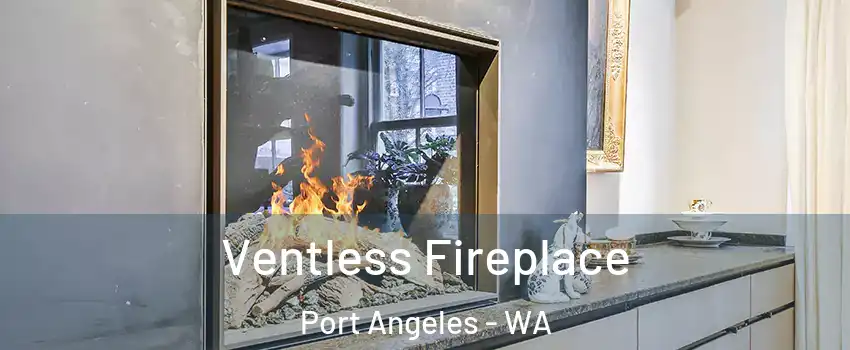  Ventless Fireplace Port Angeles - WA